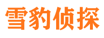 越城市婚外情调查